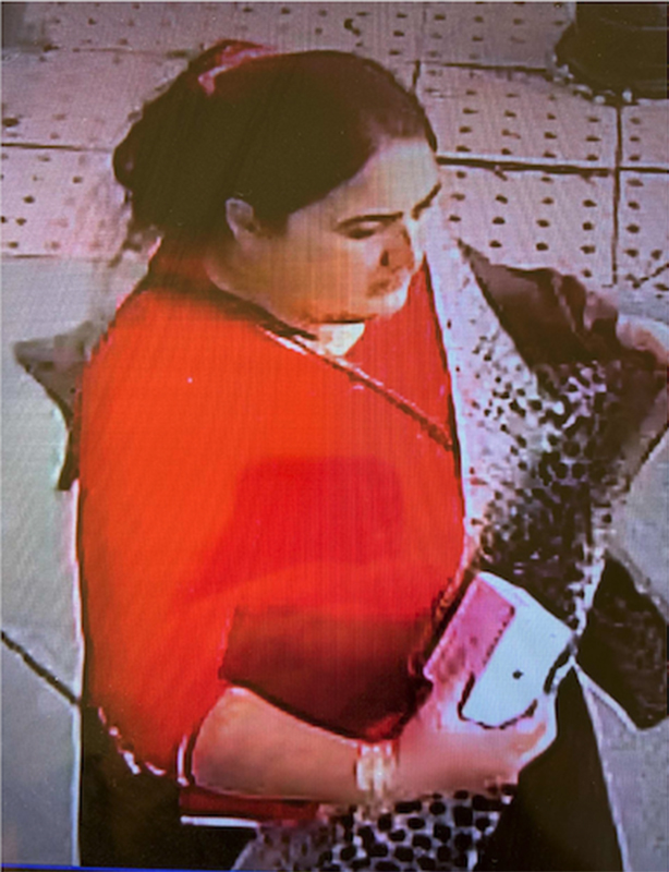 $23,000 Necklace Stolen in Fairfax Deception Scheme at India Bazaar